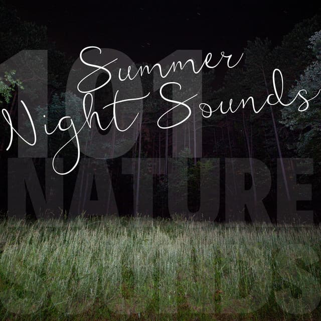 Summer Night Sounds - 101 Nature Sounds