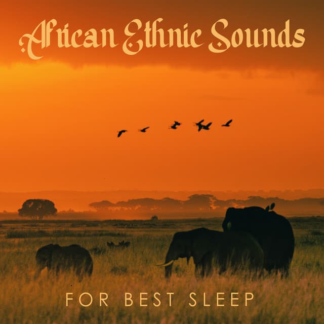 African Ethnic Sounds for Best Sleep - Good Night Unit