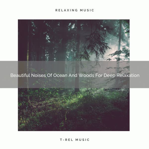 Beautiful Noises Of Ocean And Woods For Deep Relaxation - Sleep Dimension
