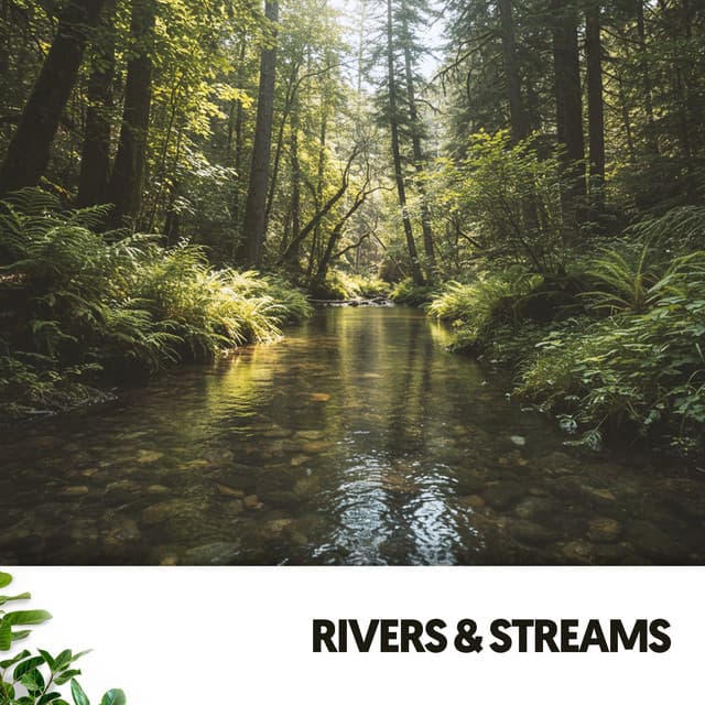 Rivers & Streams: Melodies of Flowing Waters - Ruido Blanco Hart
