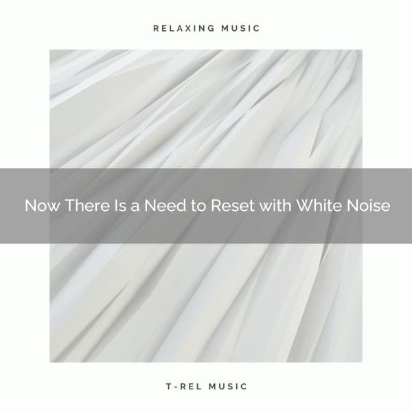 Now There Is a Need to Reset with White Noise - Noise Radio 1