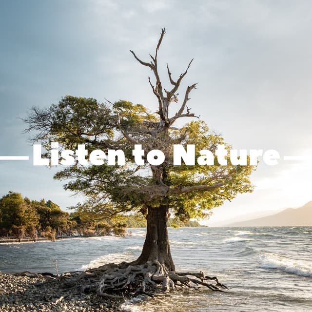 Listen to Nature - Sounds of Nature for Deep Sleep and Relaxation