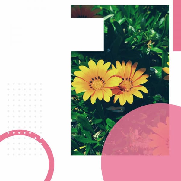 Inspiring - Self Care Days - Jazz Ambiente