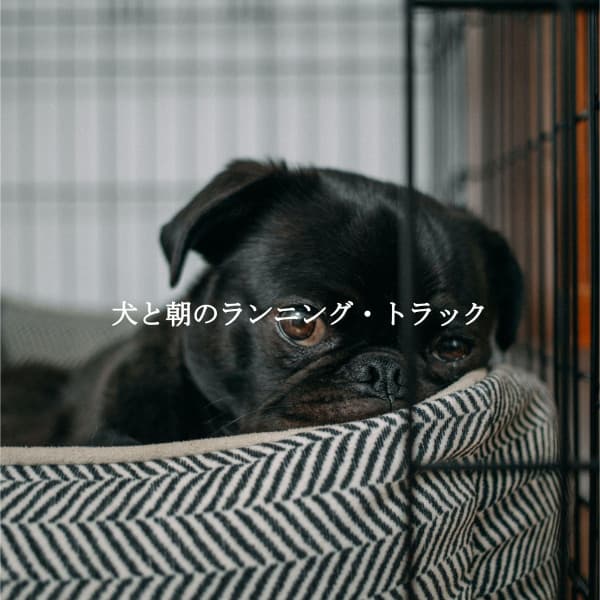 犬と朝のランニング・トラック - Sleepy Dogs