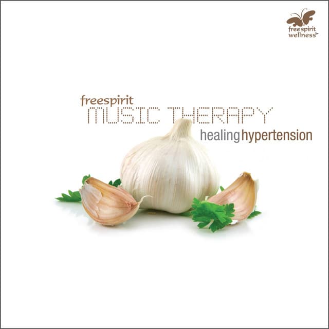 Music Therapy - Healing Hypertension - Rakesh Chaurasia