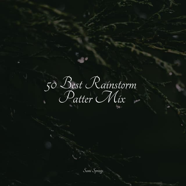 50 Best Rainstorm Patter Mix - Nature's Symphony