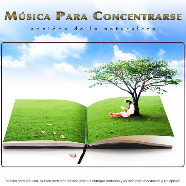 Musica Para Concentrarse: Sonidos de la naturaleza y música para estudiar, música para leer, música para un enfoque profundo y música para meditación y relajación - Musica para Concentrarse