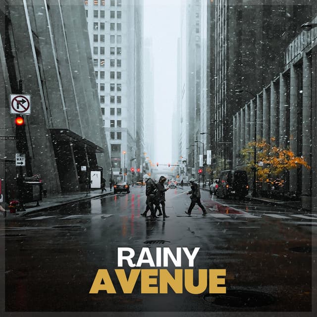 Rainy Avenue - Rain Storm Sample Library