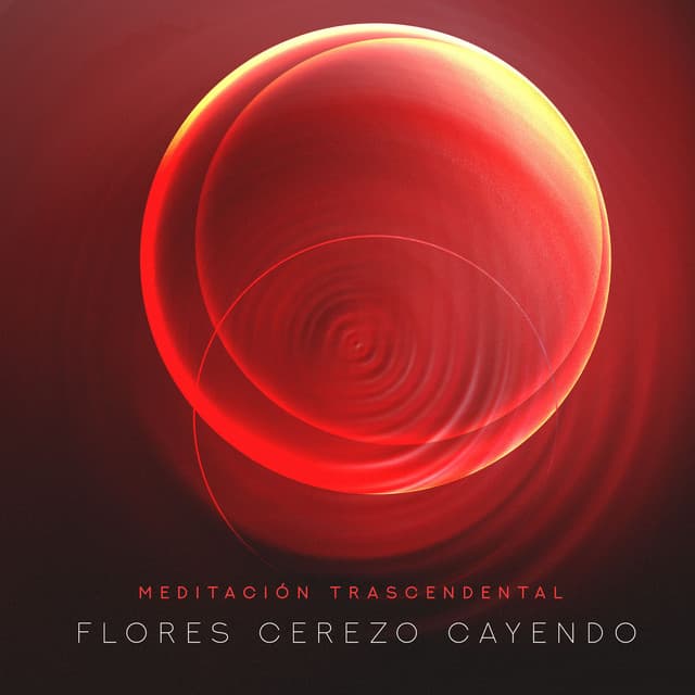 Flores Cerezo Cayendo - Meditación Trascendental