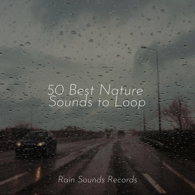 50 Best Nature Sounds to Loop - Natural Sounds