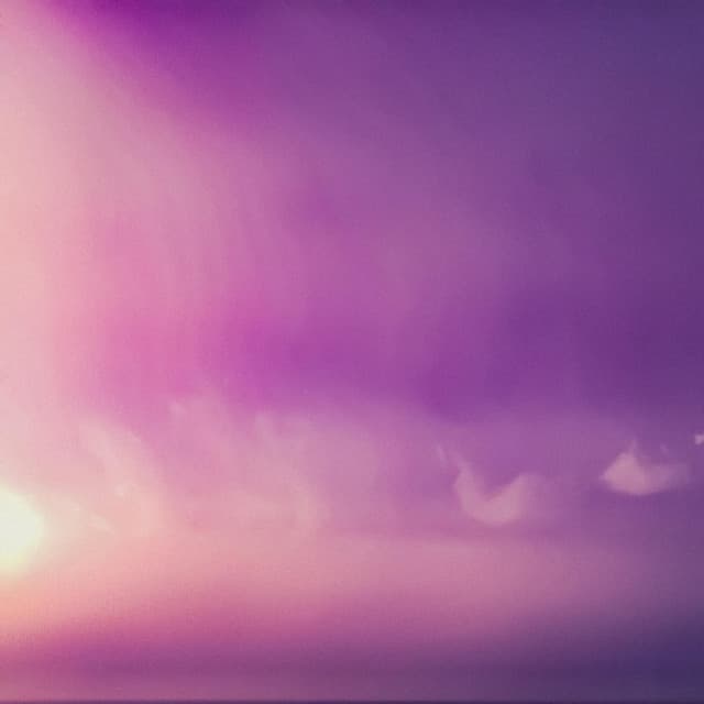 Opposing Sentience - Byelti