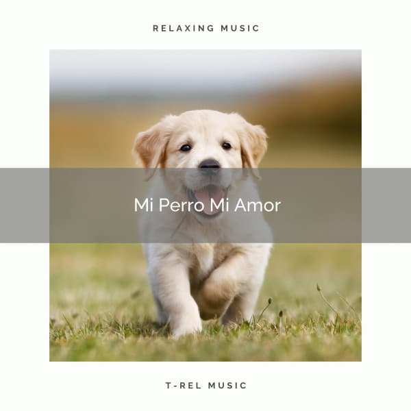 2021 Mi Perro Mi Amor - Biblioteca de Música Para Mascotas