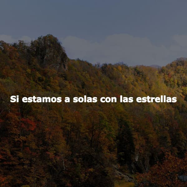 Si estamos a solas con las estrellas - Julio Hodges