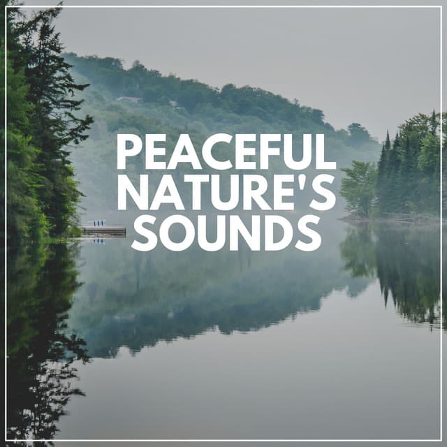 Peaceful Nature's Sounds - Cricket Sounds