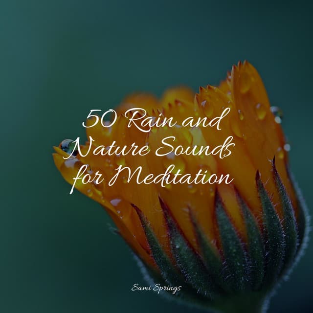 50 Deep Sleep Rain Sounds - Easy Sleep Music