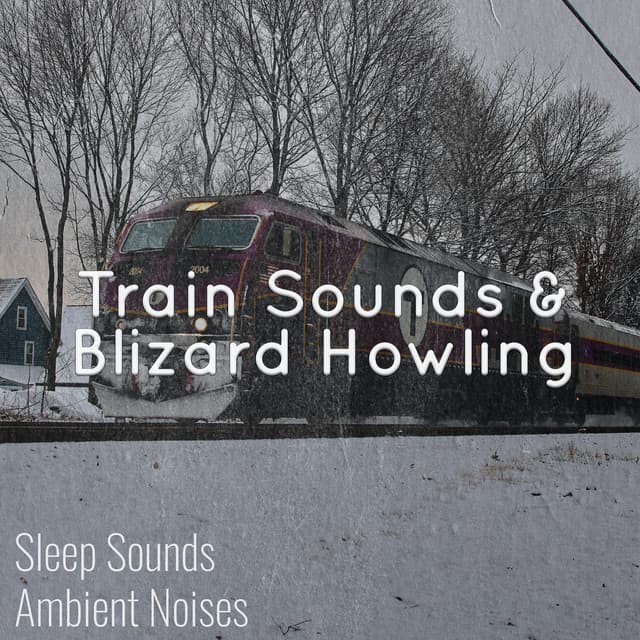 Train Sounds and Blizzard Howling - Sleep Sounds Ambient Noises