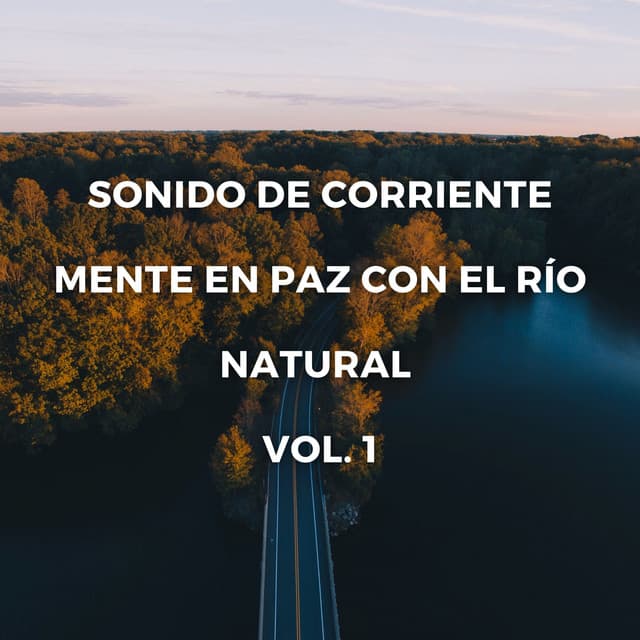 Sonido De Corriente: Mente En Paz Con El Río Natural Vol. 1 - Grabaciones de la naturaleza