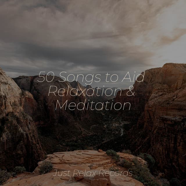 50 Songs to Aid Relaxation & Meditation - Soothing Sounds
