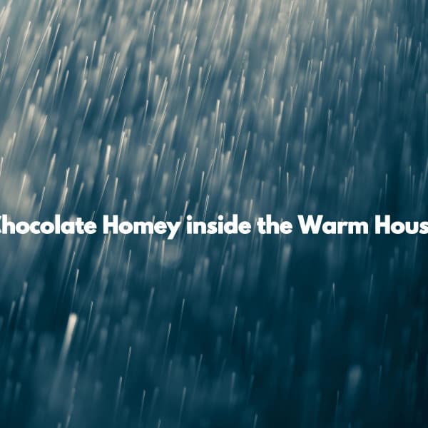 Chocolate Homey inside the Warm House - Cafe BGM Japan