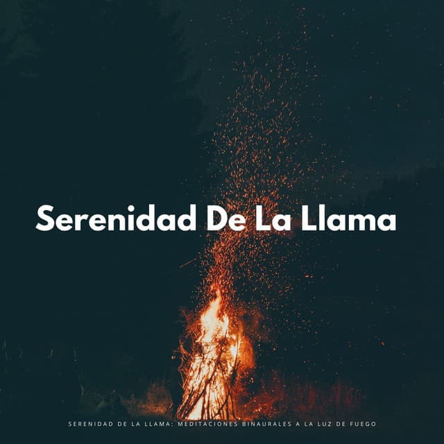 Serenidad De La Llama: Meditaciones Binaurales A La Luz De Fuego - Energía orbital de 432 Hz