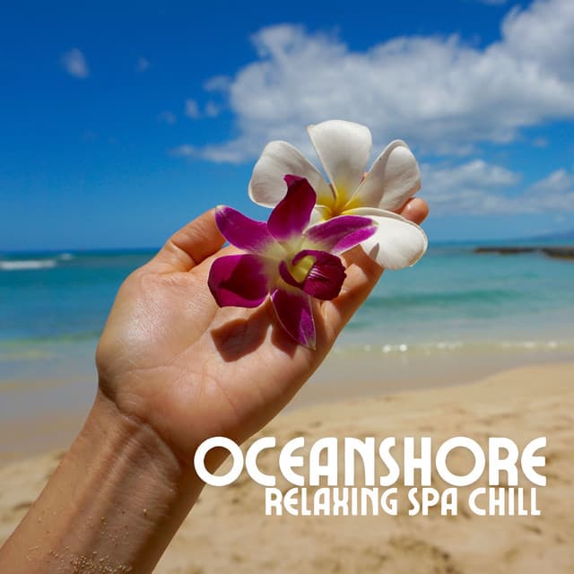 Oceanshore Relaxing Spa Chill - Chill Lounge Music System