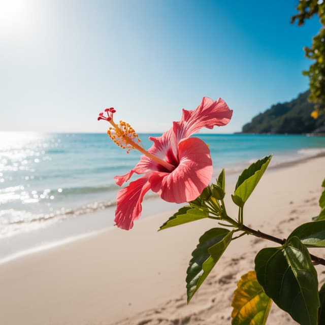 Arrival Pier - Nature Bloom