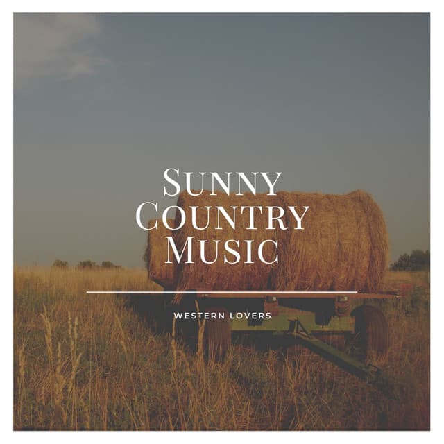Sunny Country Music - Country Music Mix