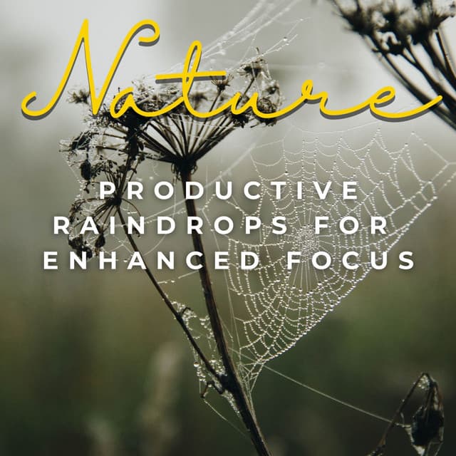 Productive Raindrops: Serene Rain Sounds for Enhanced Work Focus - The Power of Rain