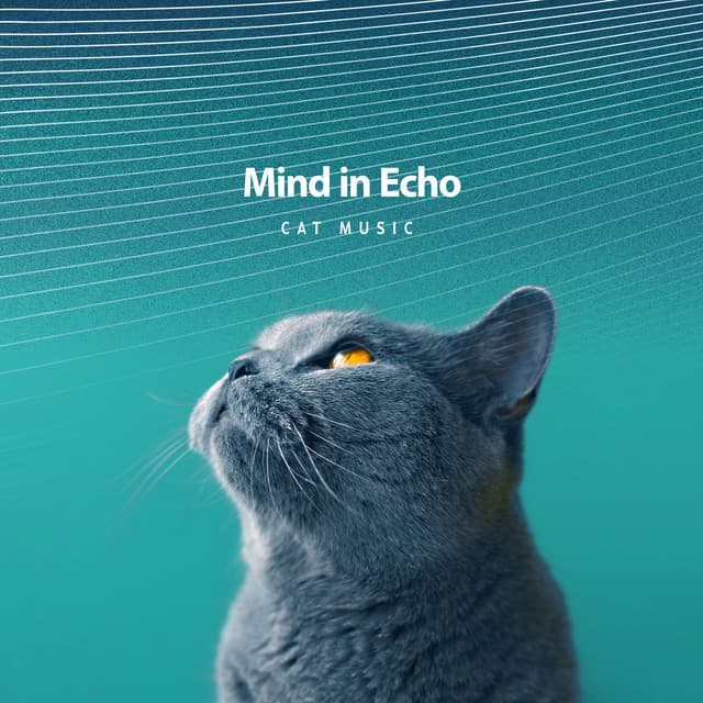 Mind in Echo - Cat Music