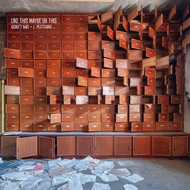 Like This Maybe Or This - Geins't Naït & L. Petitgand