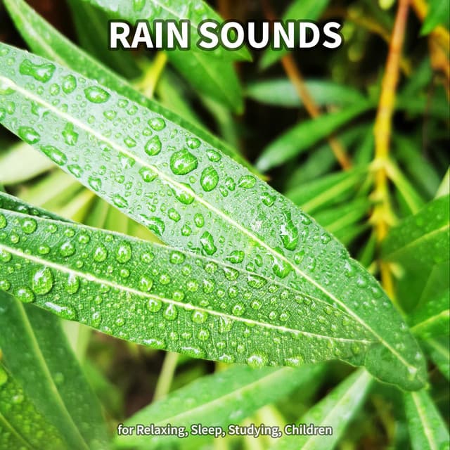 #1 Rain Sounds for Relaxing, Sleep, Studying, Children - Rain Sounds
