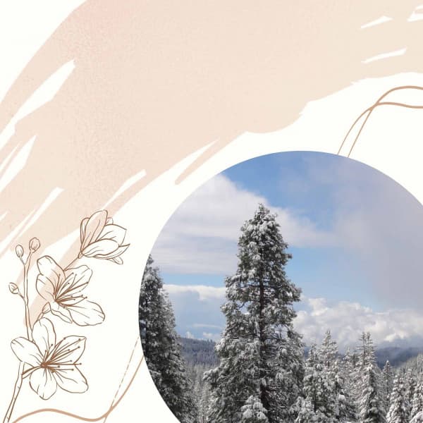 Music for Chill Day - Trumpet and Alto Sax - Sunday Morning Jazz Vibes