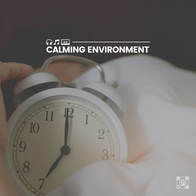 Calming Environment - Music For Relaxing