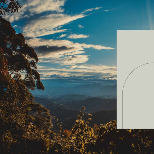 Background Music - Spa Music Playlist