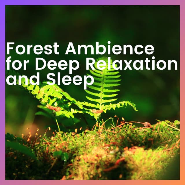 Forest Ambience for Deep Relaxation and Sleep - Forest Sounds Channel