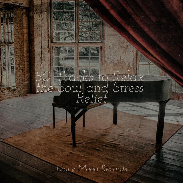 50 Tracks to Relax the Soul and Stress Relief - Anxiety Relief