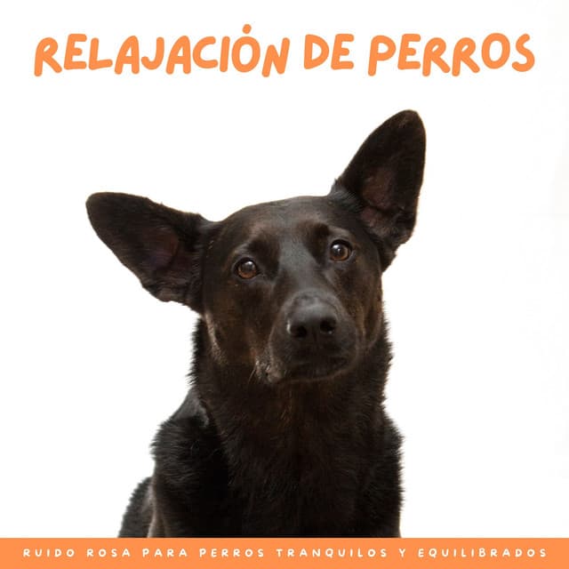 Relajación De Perros: Ruido Rosa Para Perros Tranquilos Y Equilibrados - Muestras de alta frecuencia