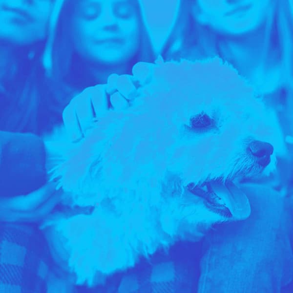 Music for Puppy Blues - Chill My Pooch