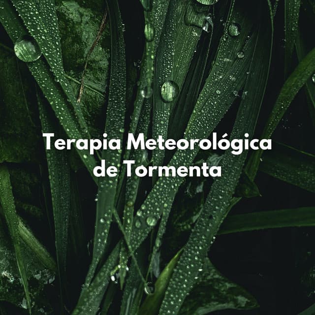 Terapia Meteorológica De Tormenta - Tormentas eléctricas y sonidos de tormenta de lluvia