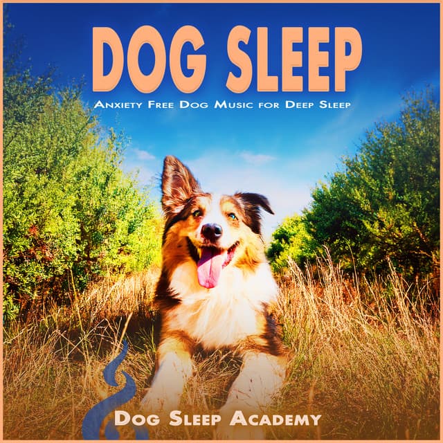 Dog Sleep: Anxiety Free Dog Music for Deep Sleep - Dog Sleep Academy
