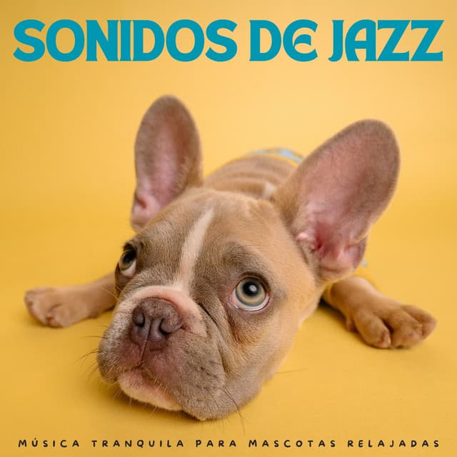 Sonidos De Jazz: Música Tranquila Para Mascotas Relajadas - Clásicos del jazz suave