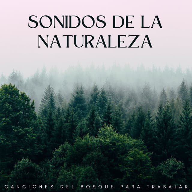 Sonidos De La Naturaleza: Canciones Del Bosque Para Trabajar - Vibraciones de la Naturaleza