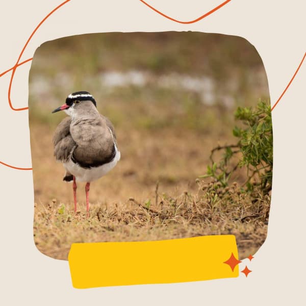 Relaxing Days - Piano Bar Lounge