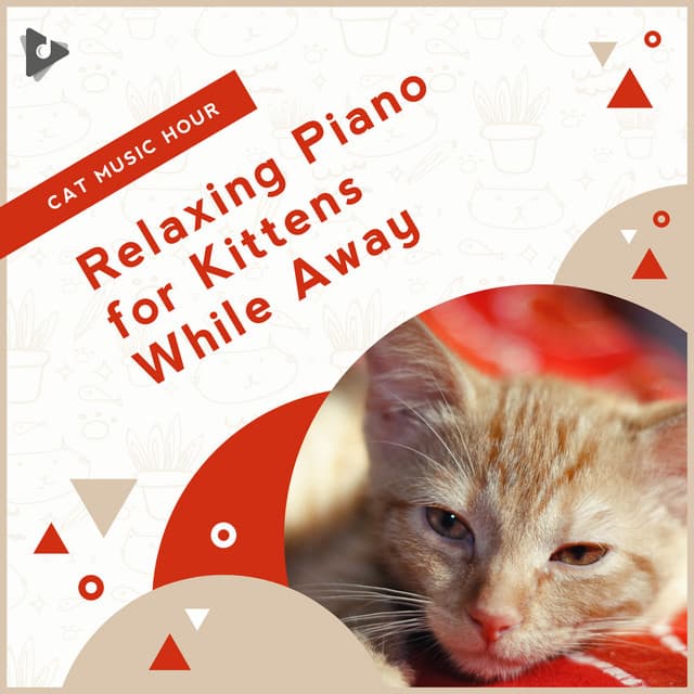Relaxing Piano for Kittens While Away - Cat Music Hour