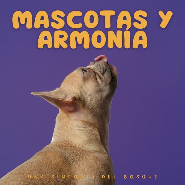 Mascotas Y Armonía: Una Sinfonía Del Bosque - Ruidos ambientales forestales