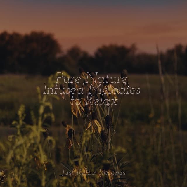 Pure Nature Infused Melodies to Relax - Música Zen Relaxante
