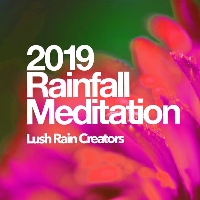 2019 Rainfall Meditation - Lush Rain Creators