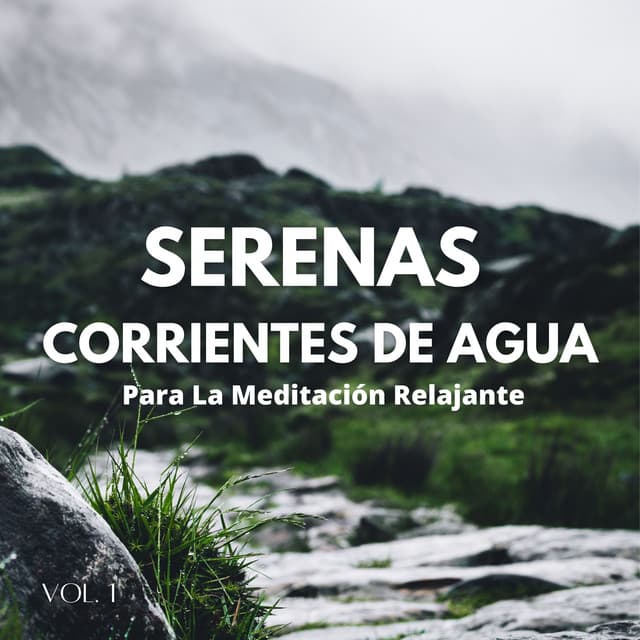 Arroyos: Serenas Corrientes De Agua Para La Meditación Relajante Vol. 1 - Ciencia del Agua