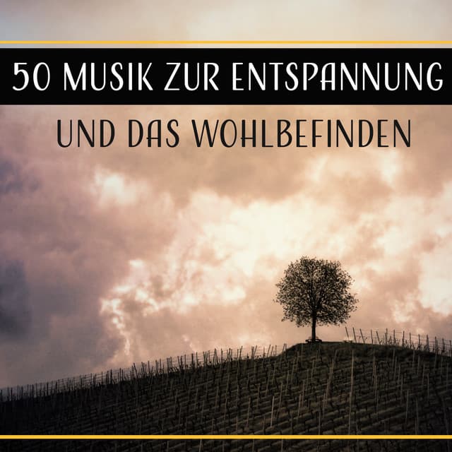 50 Musik zur Entspannung und das Wohlbefinden - Entspannungsmusik Welt
