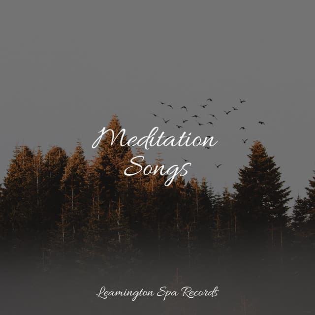Meditation Songs - Relaxing Music